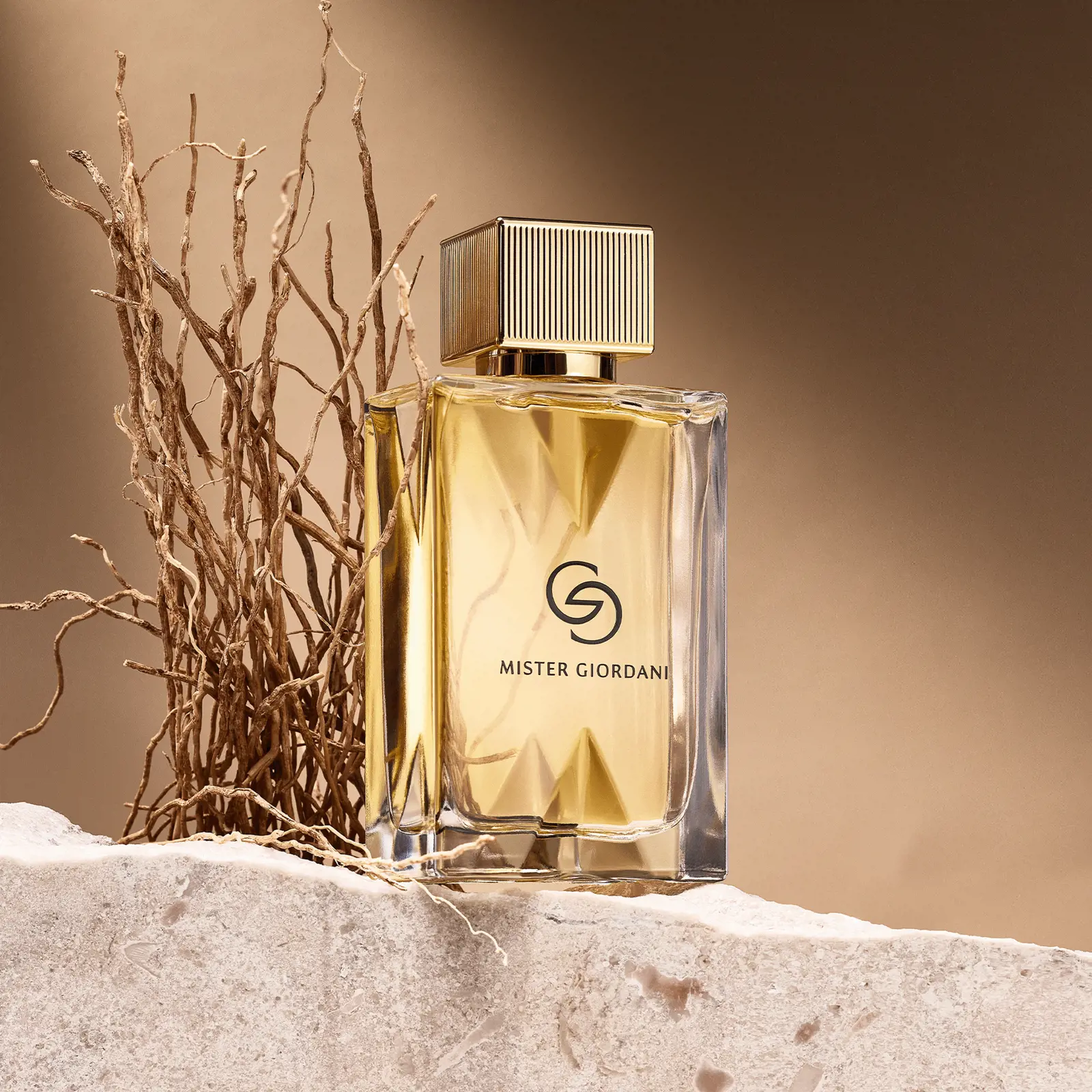 عطر مردانه (ادوپرفیوم) مستر جوردانی گلد