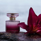 عطر زنانه (ادوپرفیوم) آمبر الکسیر میستری